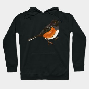 Spotted Towhee Hoodie